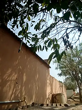 carria homes online show from March 14, 2025, 9:14 am