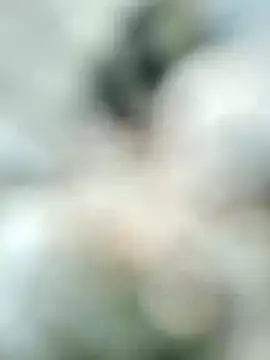 carria homes online show from February 19, 2025, 11:17 am