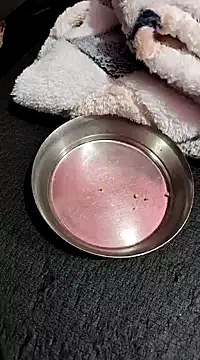 Whitehouse01 online show from January 13, 2025, 2:42 pm