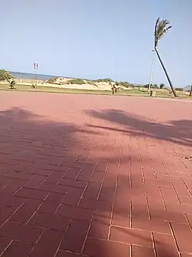 vhakhadzi online show from January 14, 2025, 1:38 pm