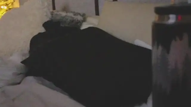 ivynyxx online show from March 16, 2026, 9:39 pm