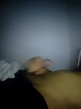 fredfgr online show from February 9, 2026, 12:52 am