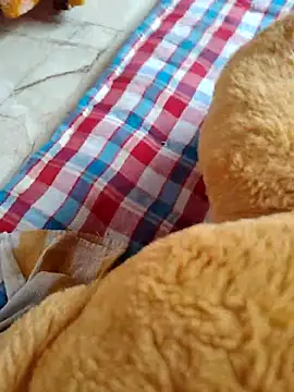 lovelygirl4567 online show from November 2, 2025, 8:41 am