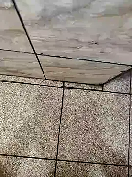 Snapshot of dreamers_dick chatting on January 21, 2025, 2:22 am dreamers dick online show from January 21, 2025, 2:22 am