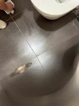 verici34 online show from March 1, 2026, 9:09 am