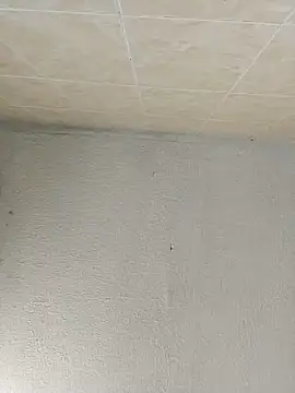 boobsTaylor online show from September 21, 2025, 6:46 pm