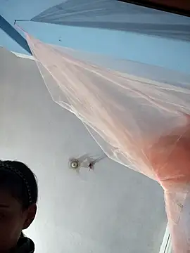 124pakhi online show from November 30, 2025, 5:19 am