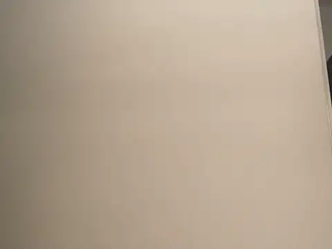 JoaoLenhador online show from March 5, 2025, 2:36 am