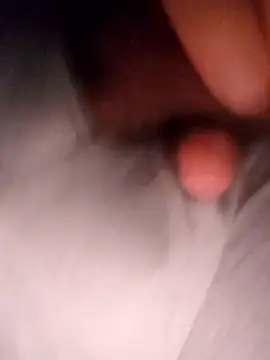 pitorico bb online show from September 23, 2025, 12:01 pm