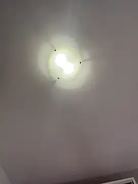 NNNoire online show from February 25, 2026, 3:01 pm