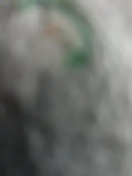 qazsazx online show from October 21, 2025, 3:55 pm