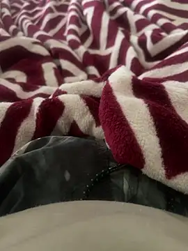 BCFZD online show from November 13, 2025, 1:04 pm