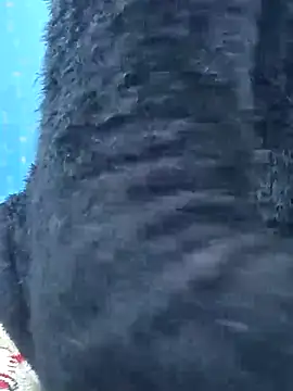 Snehalive online show from November 26, 2025, 5:07 am