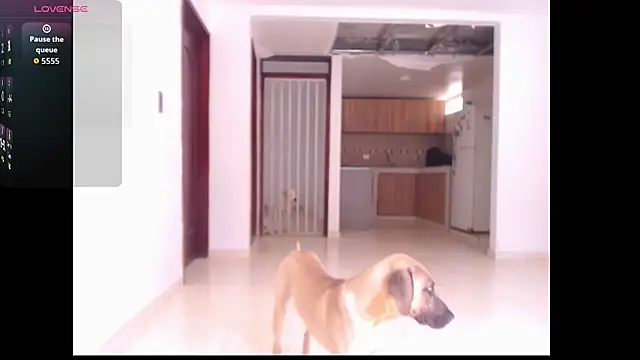 leslycarsson online show from October 7, 2025, 7:15 pm