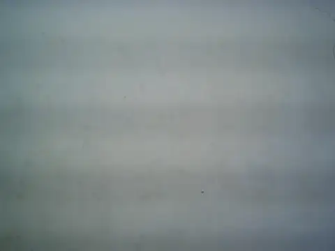 michel1520 online show from July 16, 2026, 11:29 am