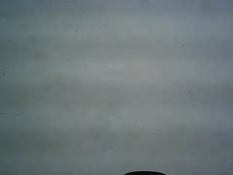 michel1520 online show from May 11, 2026, 7:43 am