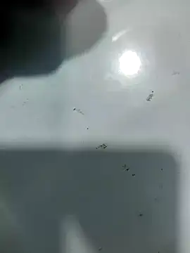 abhishek 1 online show from January 23, 2025, 2:44 am