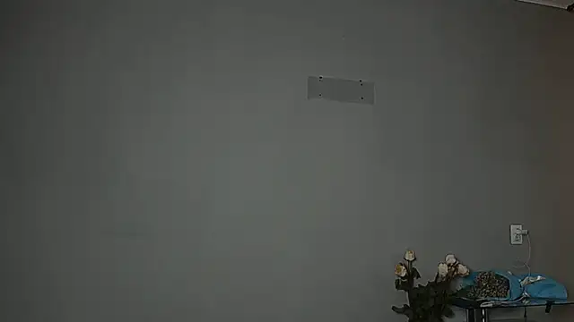 Eva Gloryy online show from October 7, 2025, 11:22 am