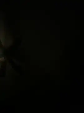 biggzee6 online show from April 17, 2026, 11:24 am