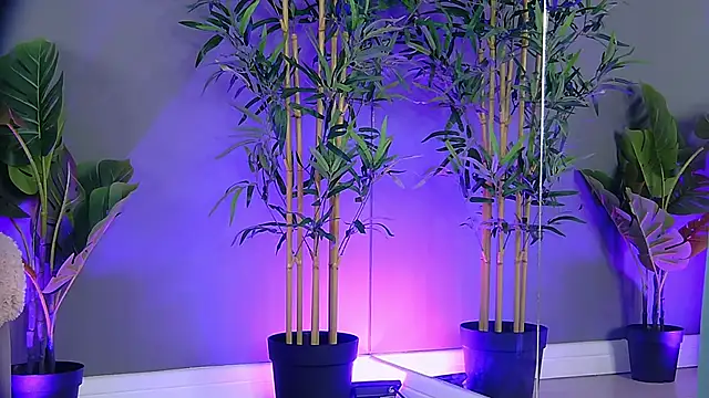 Snapshot of PatriciaSpice chatting on October 27, 2025, 5:19 am PatriciaSpice online show from October 27, 2025, 5:19 am