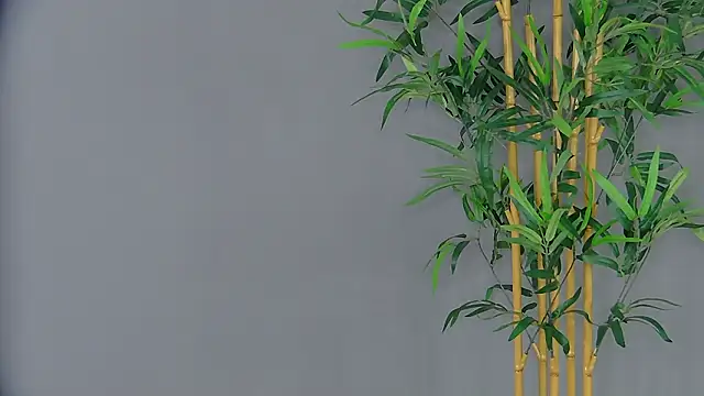 PatriciaSpice online show from March 3, 2026, 5:14 am