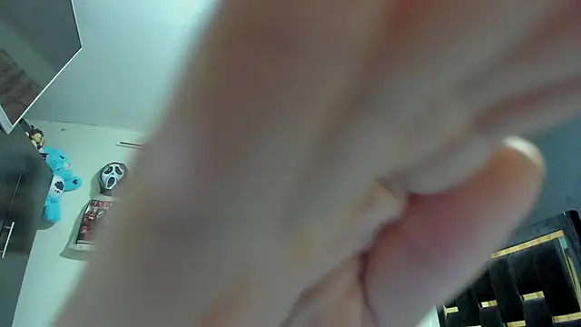 DanteAndKyle online show from March 17, 2026, 10:46 pm