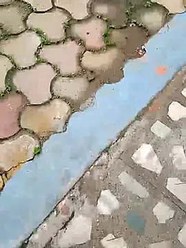 Snapshot of Raj41 chatting on October 5, 2025, 4:25 am Raj41 online show from October 5, 2025, 4:25 am