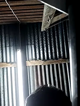 Snapshot of Pleum99 chatting on January 20, 2025, 7:46 pm Pleum99 online show from January 20, 2025, 7:46 pm