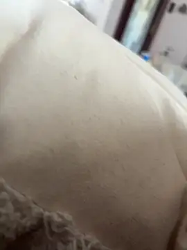 Snapshot of hengst2312 chatting on February 21, 2025, 11:01 am hengst2312 online show from February 21, 2025, 11:01 am