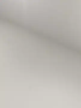 Malessia12 online show from January 22, 2025, 4:13 am