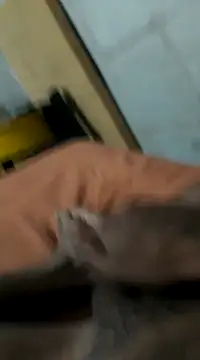 Snapshot of Jxffffv chatting on February 24, 2025, 12:20 am Jxffffv online show from February 24, 2025, 12:20 am