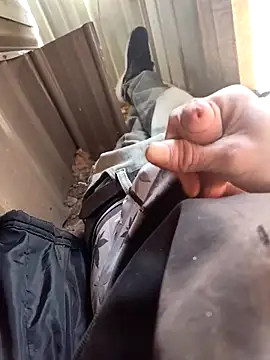 ford199169 online show from February 21, 2025, 7:32 pm