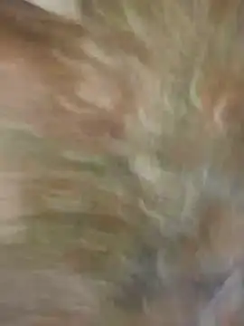 Snapshot of Santiago-Thompson chatting on January 26, 2025, 8:23 pm Santiago-Thompson online show from January 26, 2025, 8:23 pm