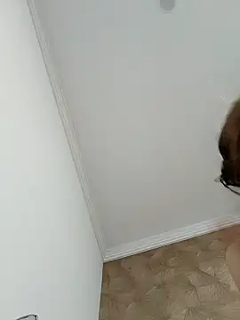 Snapshot of Schweiz_SexMachine chatting on February 5, 2025, 5:20 pm Schweiz SexMachine online show from February 5, 2025, 5:20 pm