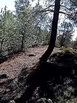 Snapshot of Luzia-Sal chatting on October 11, 2025, 11:33 am Luzia-Sal online show from October 11, 2025, 11:33 am