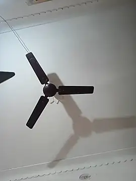 Ananyasingh47 online show from January 13, 2026, 2:48 am