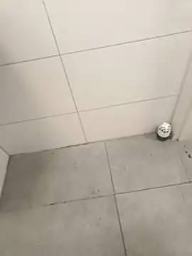 wadmma online show from April 3, 2026, 4:19 am