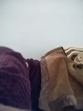 pora-34 online show from February 28, 2026, 1:55 pm