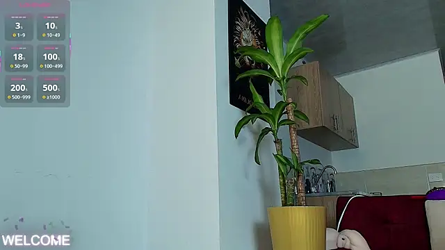 Dwayne Brown online show from April 3, 2026, 7:31 pm