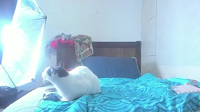 Snapshot of brigitho5 chatting on October 21, 2025, 2:16 pm brigitho5 online show from October 21, 2025, 2:16 pm