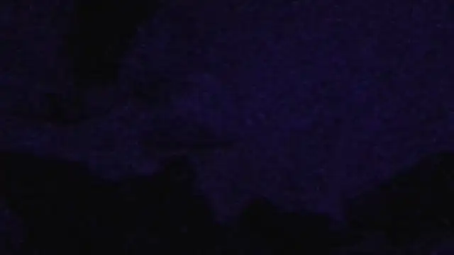 Snapshot of cruz815 chatting on September 20, 2025, 11:04 am cruz815 online show from September 20, 2025, 11:04 am