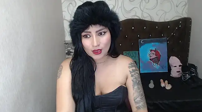 medusapunisher online show from February 4, 2025, 5:42 am