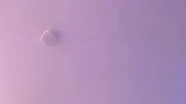 leahaltomm online show from April 18, 2026, 2:25 am