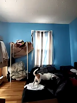 GsSpot69 online show from October 24, 2025, 6:29 pm