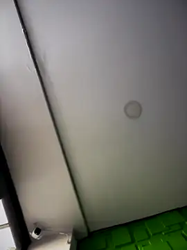 Dulce  Boyd online show from November 7, 2025, 1:15 pm