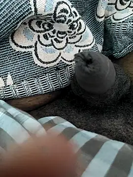 Tamil small cock online show from February 26, 2025, 10:05 am