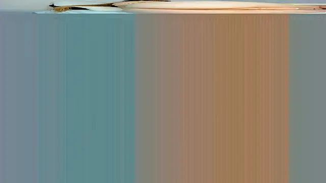 rouss witt online show from March 7, 2025, 11:27 pm