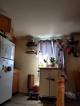 HardSteele97 online show from February 17, 2026, 8:50 pm