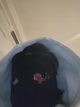 Snapshot of Bigdick420anal chatting on February 6, 2026, 5:47 am Bigdick420anal online show from February 6, 2026, 5:47 am