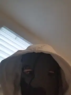 Snapshot of Bigdick420anal chatting on February 4, 2026, 6:41 am Bigdick420anal online show from February 4, 2026, 6:41 am